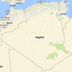 Médecins diplomés de chirirgies en Algérie