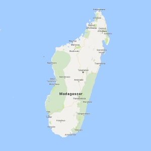 Médecins diplomés de chirirgies en Madagascar