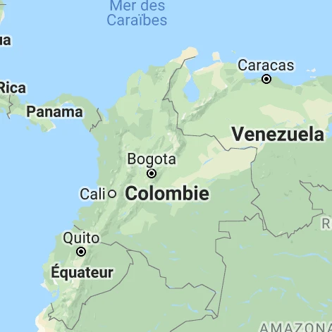 Médecins diplomés de chirirgies en Colombie