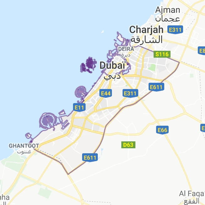 Médecins diplomés de chirirgies en Dubaï
