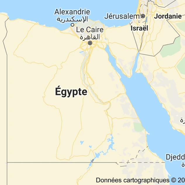 Médecins diplomés de chirirgies en Egypte