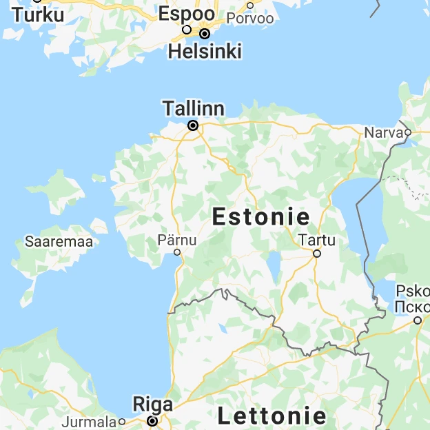 Médecins diplomés de chirirgies en ESTONIE
